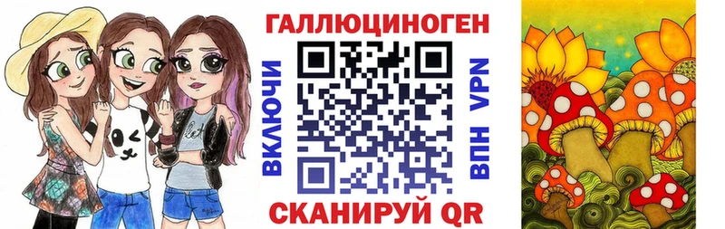 KRAKEN tor  Ефремов  Галлюциногенные грибы Magic Shrooms 