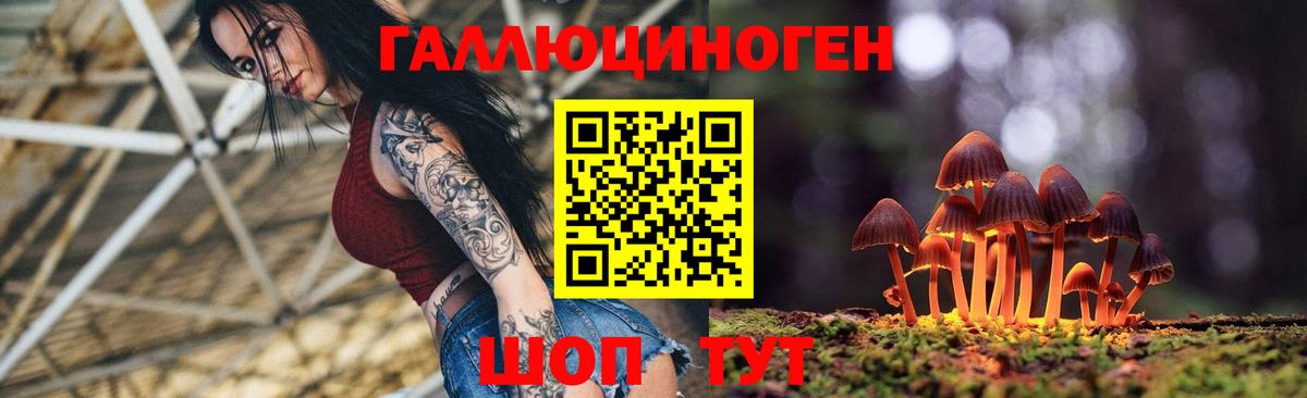 Псилоцибиновые грибы мухоморы Ефремов